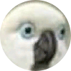 Niflheim